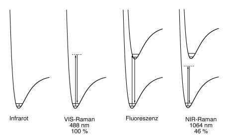 FT Raman Spectroscopy